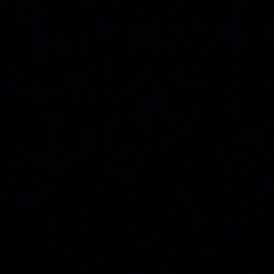 Meet your Posher, Isabel